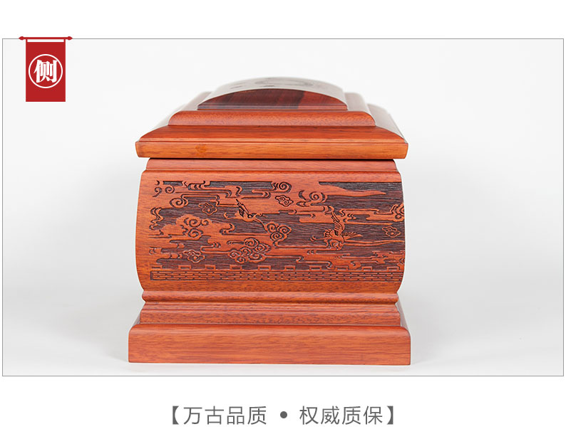 35鹤归黄金木●_06.jpg