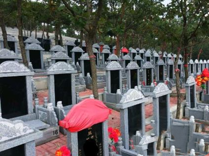 1571976845702920.png 22.png