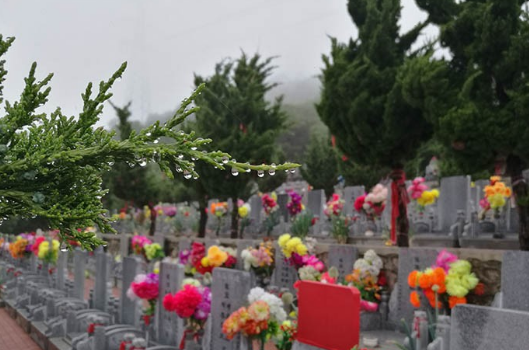 1572866469604479.png 33.png