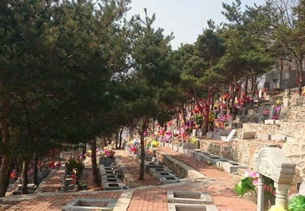 1584258733730387.jpg 111.jpg