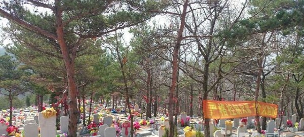 1584519794332658.jpg 555.jpg