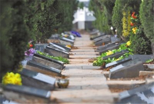 1585215070598436.jpg 20_副本.jpg