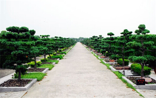 1585215084449324.jpg 30_副本.jpg