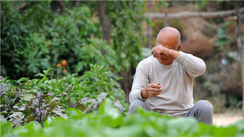 1585915774236781.jpg 11_副本1.jpg